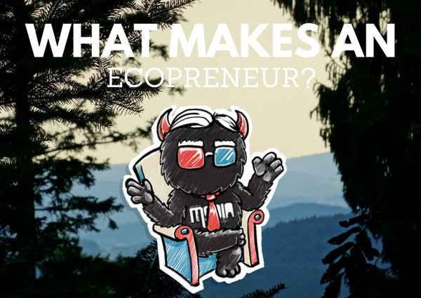 What Makes An Ecopreneur?