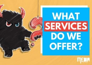 What services do we offer?