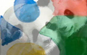 How Google Panda Changed SEO Forever (Panda v2.2)