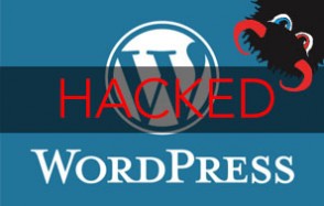 Widespread WordPress Plugins and Themes Security Vulnerability