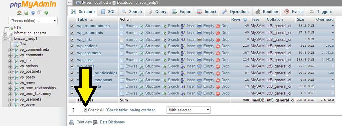Common Things to Watch Out For When Migrating Your Website