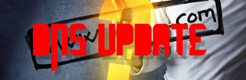 DNS Update