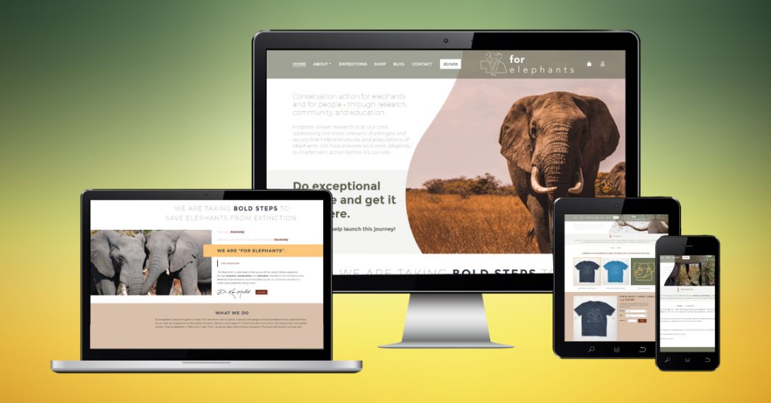 For Elephants - 1